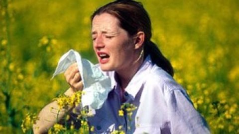 حمى القش فى الخريف.. لماذا تزداد أعراض الحساسية وطرق السيطرة عليها؟