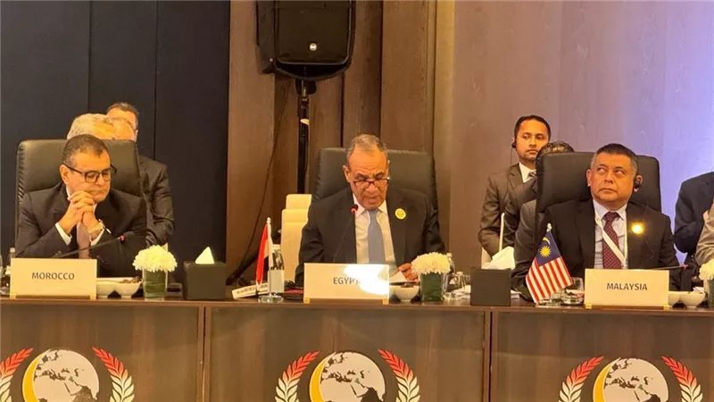 وزير الخارجية يلقي كلمة مصر في اجتماعات الدورة الـ٥٢ لمجلس وزراء خارجية منظمة التعاون الإسلامي