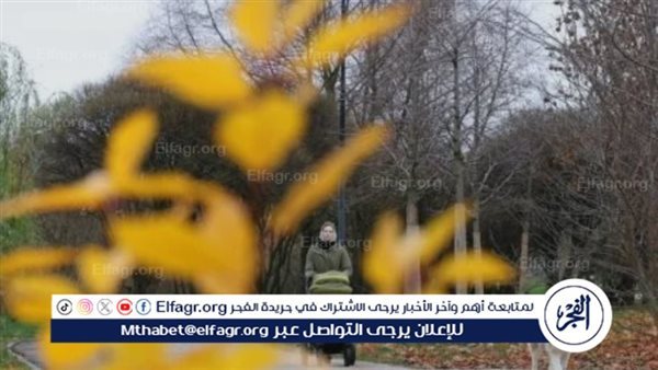 الطقس اليوم الاثنين 5 أكتوبر 2026.. أمطار رعدية ورياح مثيرة للأتربة وانخفاض الحرارة