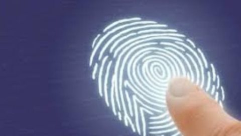 السر يبدأ من مرحلة قبل الولادة.. لماذا تختلف بصمات الأصابع حتى لدى التوائم