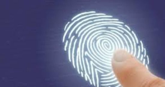 السر يبدأ من مرحلة قبل الولادة.. لماذا تختلف بصمات الأصابع حتى لدى التوائم