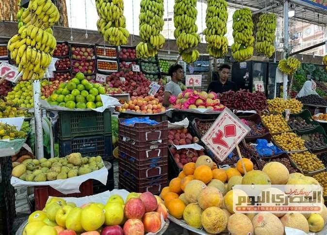 أسعار الخضروات والفاكهة بأسواق المنيا اليوم