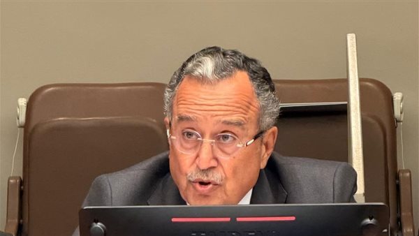 نبيل فهمي يبحث مع وزير خارجية السعودية التطورات الإقليمية ويؤكد دعم جامعة الدول العربية للمملكة