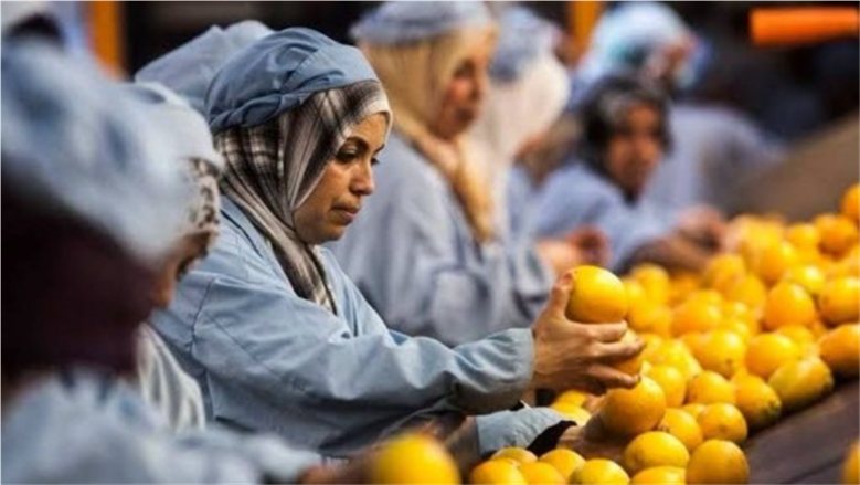 4.25 مليار دولار صادرات مصر الغذائية خلال 7 أشهر بزيادة 11.1%