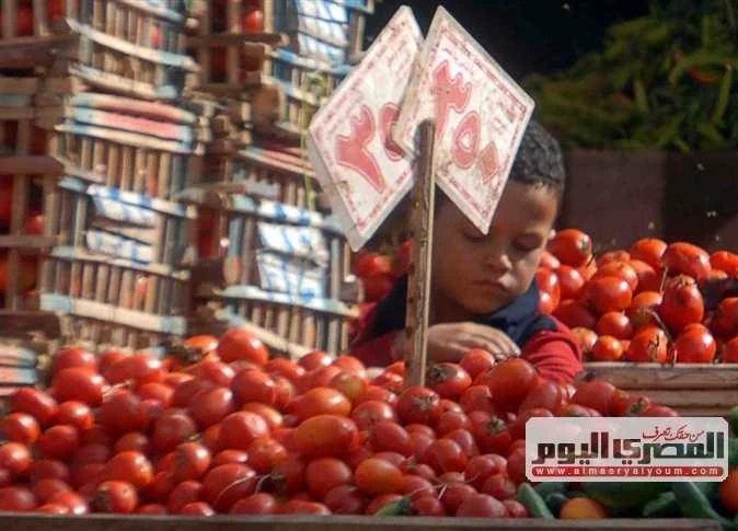 الطماطم والبصل والبطاطس.. ارتفاع ملحوظ في أسعار الخضروات بأسواق المنيا